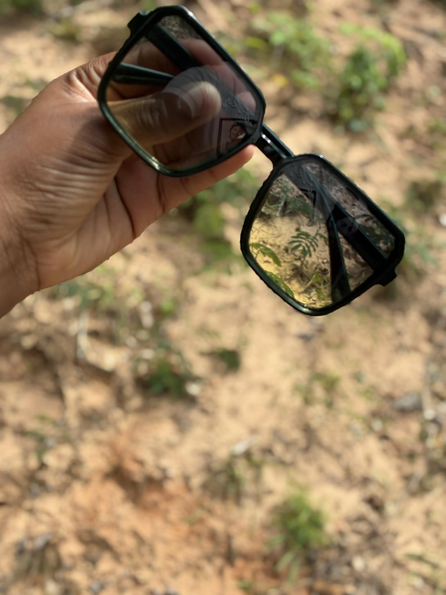 Shades